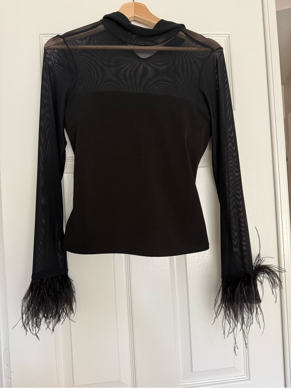 cinq a sept Black Sheer Mesh Long-Sleeve Top with Feather Cuffs